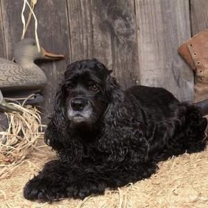 Meet your Posher, Sonia